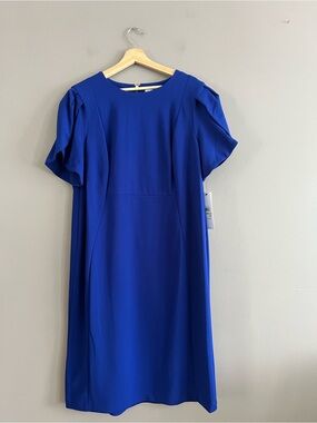 Calvin Klein Shift Dress Sz 18 Royal Blue Scuba Crepe Tulip Sleeve Knee Length